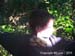 PICT4375_DCE