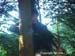 PICT4401_DCE