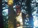 PICT4409_DCE