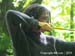 PICT4492_DCE