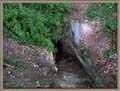 Pict0501
